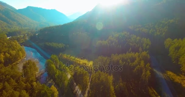 Midden in de lucht vlucht over verse bergrivier en weide op zonnige zomerochtend. Landelijke onverharde weg onder. — Stockvideo