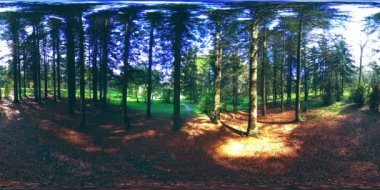 Bir şehir parkının UHD 4K 360 VR Sanal Gerçekliği. Sonbaharda ya da yaz gününde ağaçlar ve yeşil çimenler