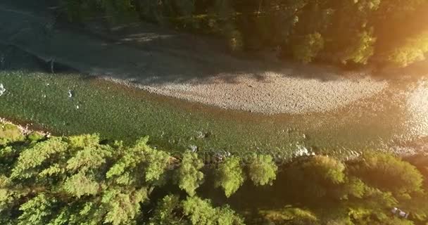 Vuelo en medio del aire sobre un río de montaña fresco y limpio en la soleada mañana de verano. Movimiento vertical — Vídeos de Stock
