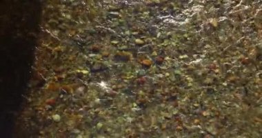 Güneşli yaz sabahında temiz ve taze bir dağ nehri üzerinde uçuşun ortasındayız. Üst görünüm ve yatay hareket