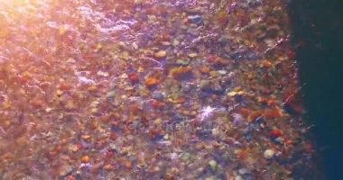 Güneşli yaz sabahında temiz ve taze bir dağ nehri üzerinde uçuşun ortasındayız. Üst görünüm ve yatay hareket