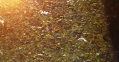 Güneşli yaz sabahında temiz ve taze bir dağ nehri üzerinde uçuşun ortasındayız. Üst görünüm ve yatay hareket