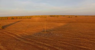 UHD 4k havadan görünümü. Havada uçak sarı kırsal alanın üzerinde