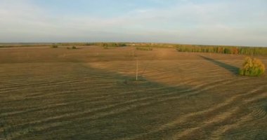 UHD 4k havadan görünümü. Havada uçak sarı kırsal alanın üzerinde
