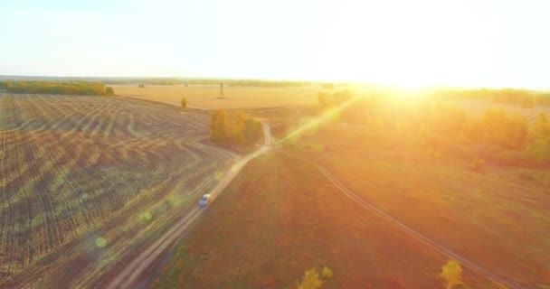 UHD 4K aerial view. Mid-air flight over yellow rural field and dirt road — Stock Video