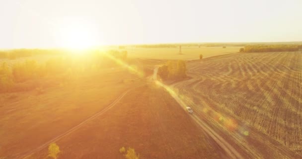 UHD 4K vedere aeriană. Zbor în aer peste câmp rural galben și drum de murdărie — Videoclip de stoc