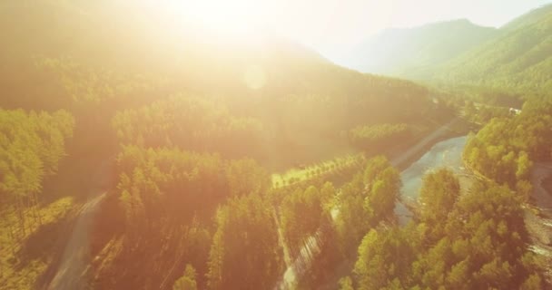 Mittlerer Luftflug über frischem Gebirgsfluss und Wiese am sonnigen Sommermorgen. Schotterpiste unten. — Stockvideo