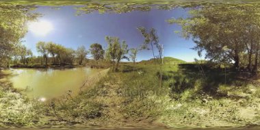 UHD 4K 360 VR Bir nehrin Sanal Gerçekliği güzel dağ ormanlarında kayaların üzerinden akıyor