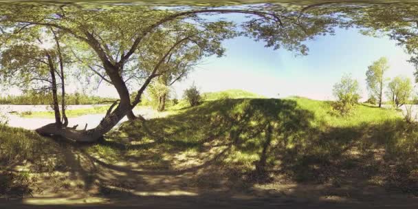 UHD 4K 360 VR Εικονική πραγματικότητα ενός ποταμού ρέει πάνω από βράχους σε όμορφο ορεινό δασικό τοπίο — Αρχείο Βίντεο