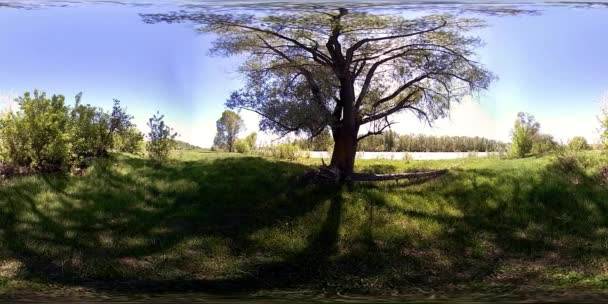 UHD 4K 360 VR La realidad virtual de un río fluye sobre rocas en un hermoso paisaje de bosque de montaña — Vídeo de stock