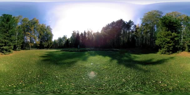 UHD 4K 360 VR Virtual Reality van een recreatiegebied in een stadspark. Bomen en groen gras op herfst- of zomerdag — Stockvideo