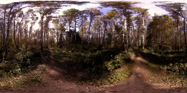 UHD 4K 360 VR Réalité virtuelle d'un parc municipal zone de loisirs. Arbres et herbe verte le jour d'automne ou d'été — Video