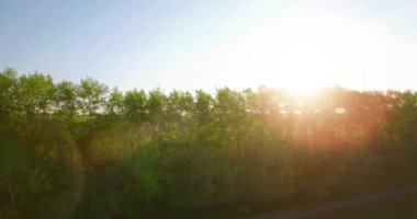 4 k hava manzara. Düşük uçuş yeşil ve sarı buğday kırsal alanın üzerine.