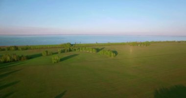 4 k hava manzara. Düşük uçuş yeşil ve sarı buğday kırsal alanın üzerine.