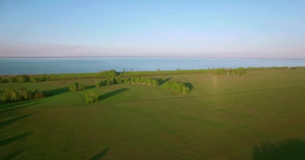 4 k luchtfoto. Lage vlucht over groene en gele rural tarweveld. — Stockvideo