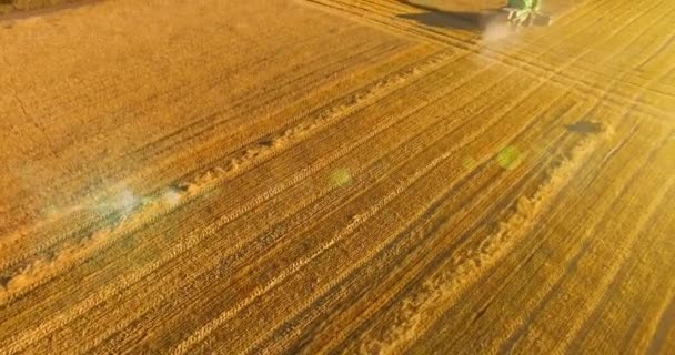 UHD 4K vue aérienne. Vol bas sur moissonneuse-batteuse récolte le blé au champ rural jaune . — Video