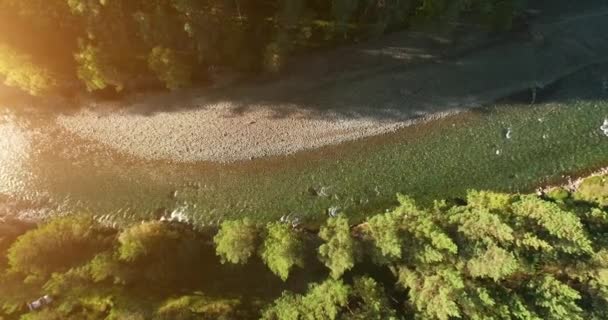 Mid air flight over fresh and clean mountain river at sunny summer morning. Vertical movement — Stock Video