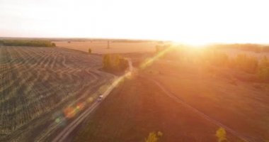 UHD 4K hava görüntüsü. Sarı kırsal alan ve toprak yol üzerinde orta-uçuş