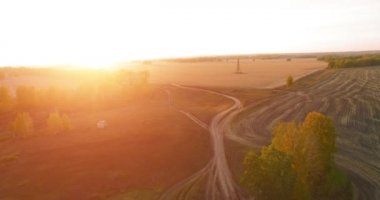 UHD 4K hava görüntüsü. Sarı kırsal alan ve toprak yol üzerinde orta-uçuş