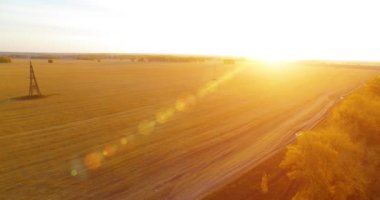 UHD 4K hava görüntüsü. Sarı kırsal alan ve toprak yol üzerinde orta-uçuş