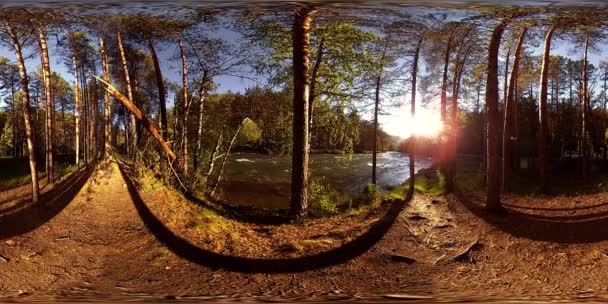 UHD 4K 360 VR La realidad virtual de un río fluye sobre rocas en un hermoso paisaje de bosque de montaña — Vídeos de Stock