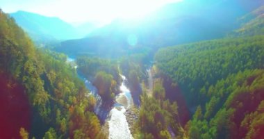Güneşli yaz sabahında taze dağ nehri ve çayır üzerinde uçuşun ortasında. Aşağıdaki kırsal toprak yol.