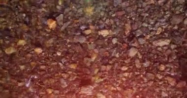 Güneşli yaz sabahında temiz ve taze bir dağ nehri üzerinde uçuşun ortasındayız. Üst görünüm ve yatay hareket