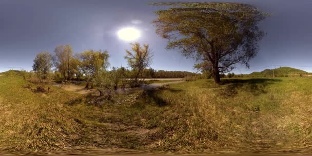 UHD 4K 360 VR La réalité virtuelle d'une rivière coule sur des rochers dans un magnifique paysage de forêt de montagne