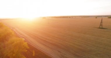 UHD 4K hava görüntüsü. Sarı kırsal alan ve toprak yol üzerinde orta-uçuş