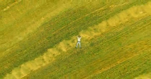 Aerial view. Vertical motion flight over man lying on yellow wheat field — Stock Video