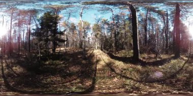 4k Sonbahar zaman bir güzel dağ sahnenin 360 Vr sanal gerçeklik. Vahşi Rus dağlar.