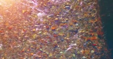 Güneşli yaz sabahında temiz ve taze bir dağ nehri üzerinde uçuşun ortasındayız. Üst görünüm ve yatay hareket