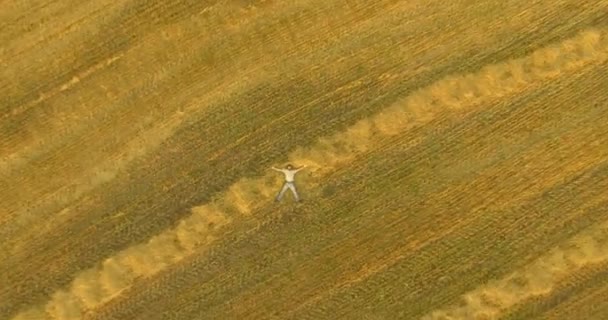 Widok z lotu ptaka. Pionowy ruch lotu nad człowieka leżącego na polu pszenicy żółty — Wideo stockowe