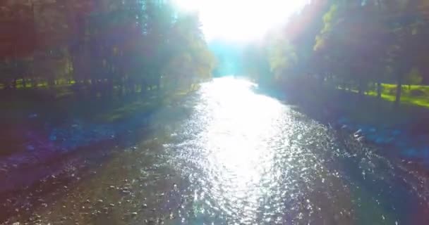 Mid air flight over fresh and clean mountain river at sunny summer morning — Stock Video