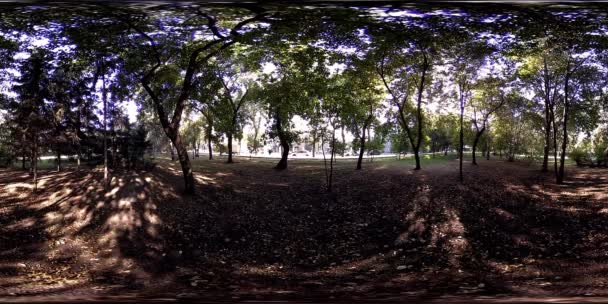 UHD 4K 360 VR Réalité virtuelle d'un parc municipal zone de loisirs. Arbres et herbe verte le jour d'automne ou d'été