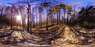 4K 360 VR sonbahar zamanındaki güzel bir dağ manzarasının sanal gerçekliği. Vahşi Sibirya Dağları.