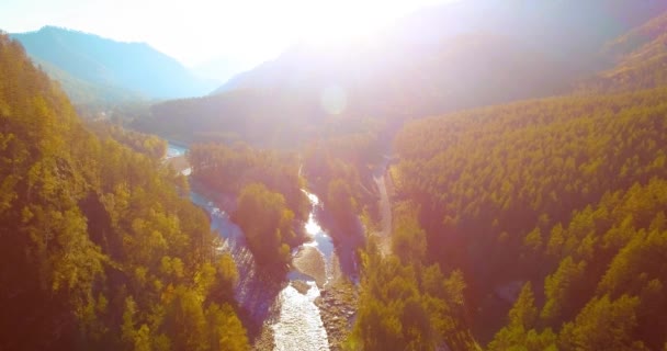 Vôo a meio do ar sobre o rio e o prado frescos da montanha na manhã ensolarada do verão. Estrada de terra rural abaixo. — Vídeo de Stock