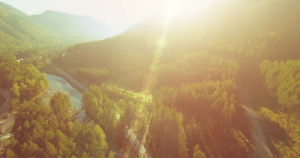 Mittlerer Luftflug über frischem Gebirgsfluss und Wiese am sonnigen Sommermorgen. Schotterpiste unten. — Stockvideo