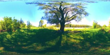 UHD 4K 360 VR Bir nehrin Sanal Gerçekliği güzel dağ ormanlarında kayaların üzerinden akıyor