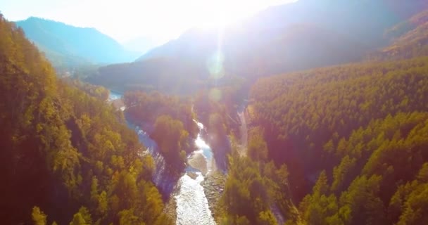 Vôo a meio do ar sobre o rio e o prado frescos da montanha na manhã ensolarada do verão. Estrada de terra rural abaixo. — Vídeo de Stock