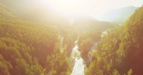 Mittlerer Luftflug über frischem Gebirgsfluss und Wiese am sonnigen Sommermorgen. Schotterpiste unten. — Stockvideo