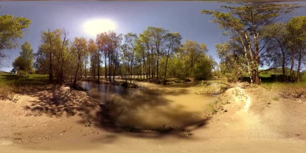 UHD 4K 360 VR Realidade Virtual de um rio flui sobre rochas em bela paisagem de floresta de montanha — Vídeo de Stock