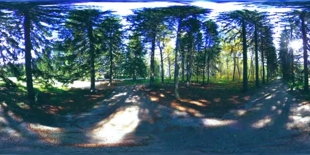 UHD 4K 360 VR Realtà Virtuale di un'area ricreativa del parco cittadino. Alberi ed erba verde al giorno d'autunno o d'estate — Video Stock