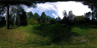 Bir şehir parkının UHD 4K 360 VR Sanal Gerçekliği. Sonbaharda ya da yaz gününde ağaçlar ve yeşil çimenler