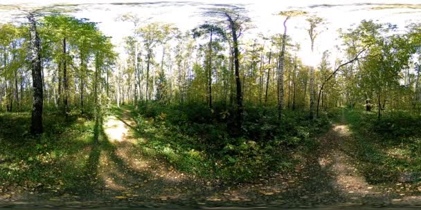 UHD 4K 360 VR Virtual Reality av en stadspark rekreationsområde. Träd och grönt gräs på hösten eller sommaren dag — Stockvideo