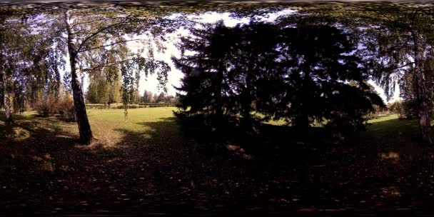 UHD 4K 360 VR Realtà Virtuale di un'area ricreativa del parco cittadino. Alberi ed erba verde al giorno d'autunno o d'estate — Video Stock