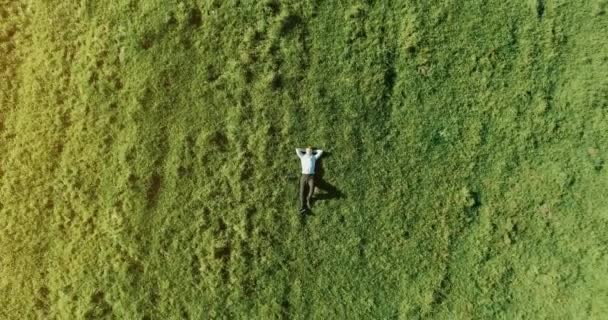 Vertikalflug über Geschäftsmann, der auf frischer grüner Wiese liegt. Blick von oben auf entspannten Mann. — Stockvideo