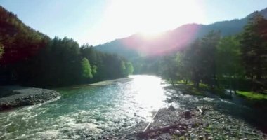 4 k Uhd havadan görünümü. Düşük uçuş üzerinde taze soğuk dağ nehir kıyısında güneşli yaz sabahı.