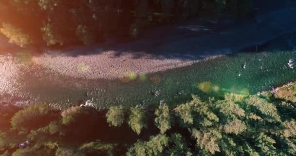 Midden in de lucht vlucht over frisse en schone bergrivier op zonnige zomerochtend. Verticale beweging — Stockvideo