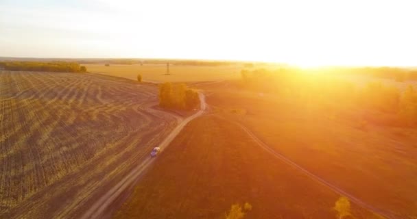 UHD 4K légi felvétel. Középlevegős repülés sárga vidéki területen és földúton — Stock videók